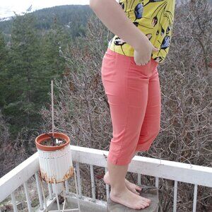 Vintage Calvin Klein Pin Stipped Capris